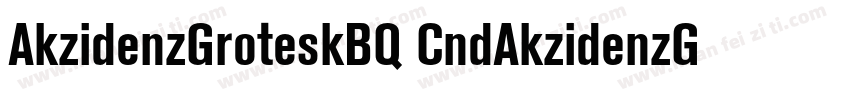 AkzidenzGroteskBQ CndAkzidenzGrotes字体转换